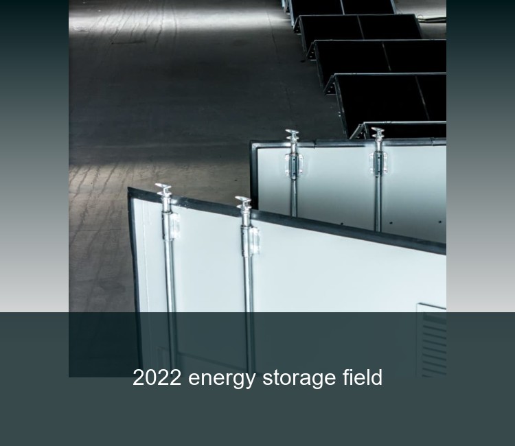 2022 energy storage field