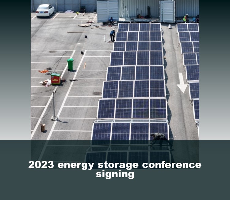 2023 energy storage conference signing