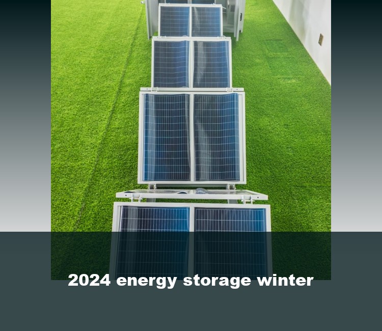 2024 energy storage winter