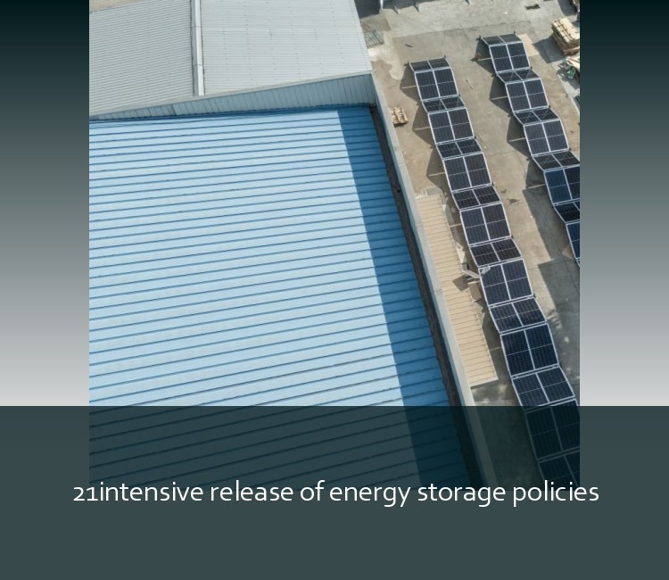 21intensive release of energy storage policies