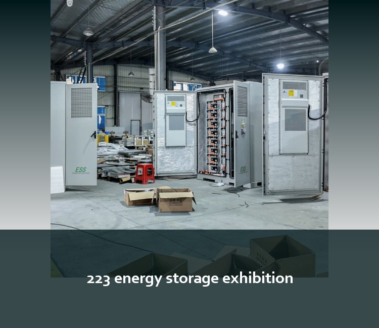 223 energy storage exhibition