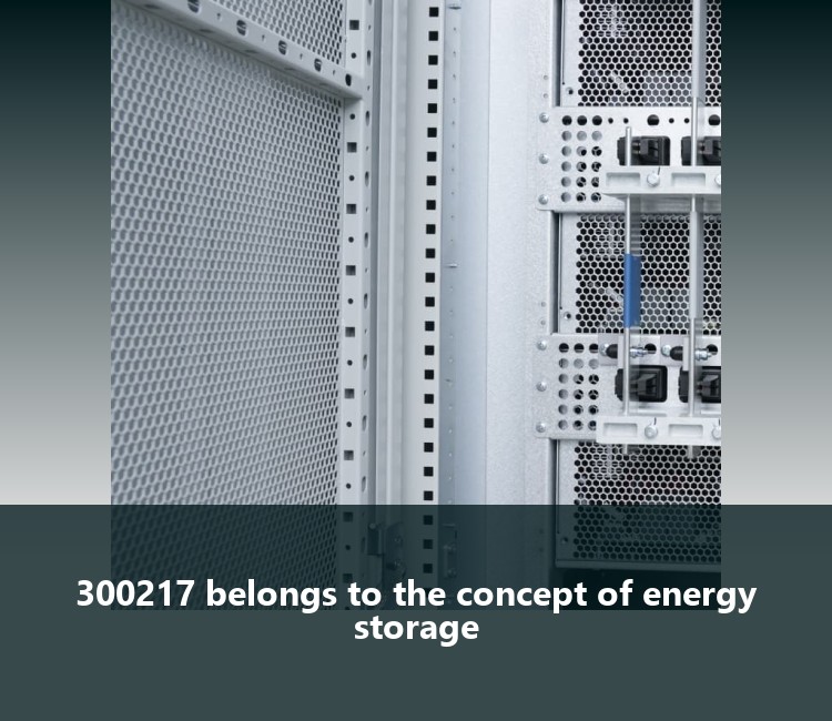 300217 belongs to the concept of energy storage