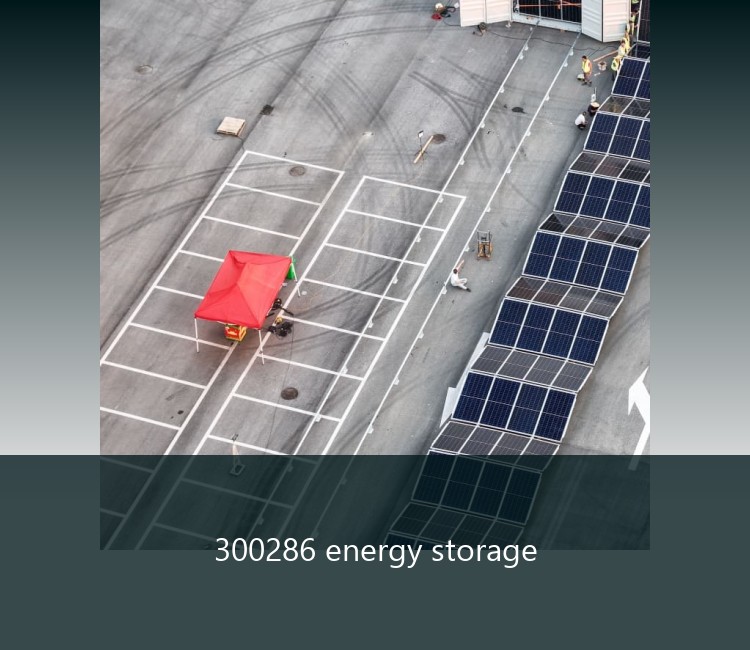 300286 energy storage