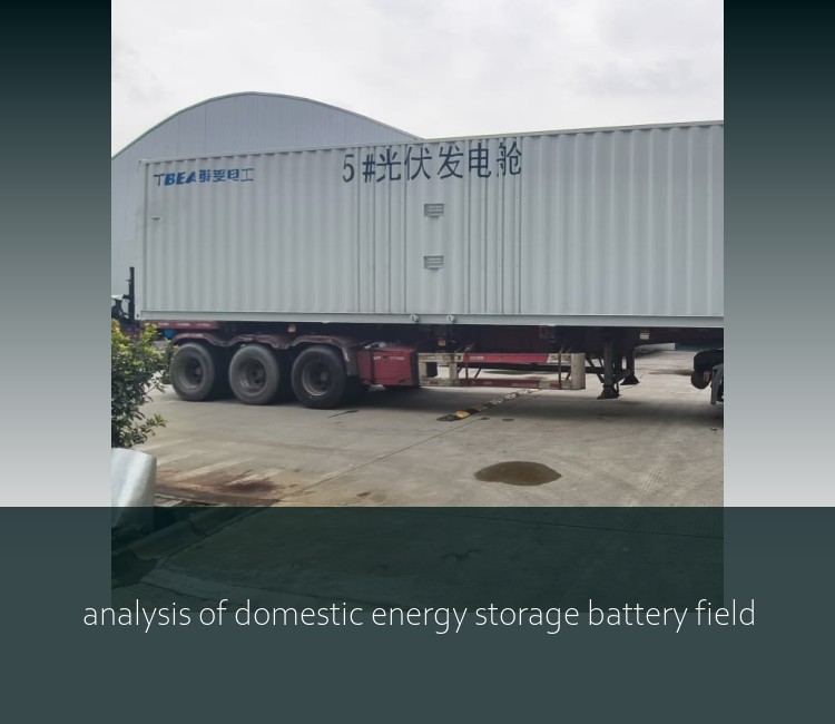 analysis of domestic energy storage battery field