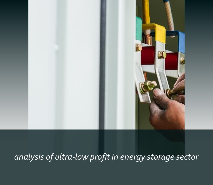 analysis of ultra-low profit in energy storage sector