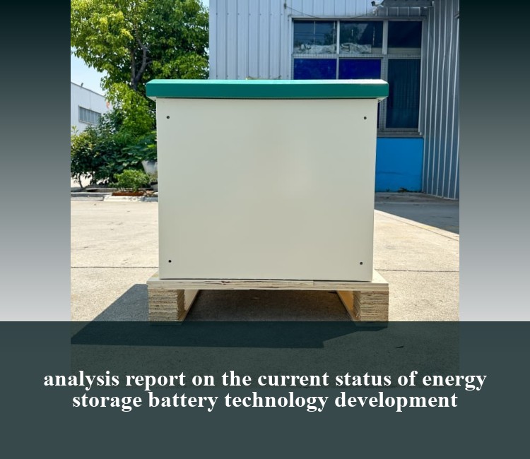 analysis report on the current status of energy storage battery technology development
