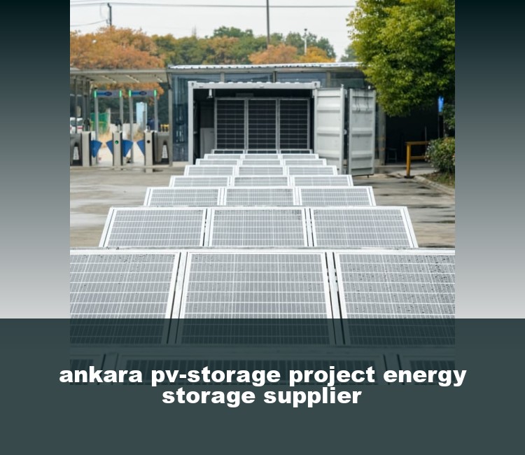 ankara pv-storage project energy storage supplier