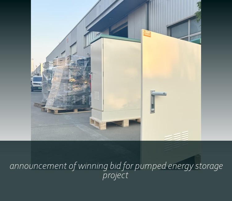 announcement of winning bid for pumped energy storage project
