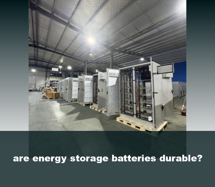are energy storage batteries durable?