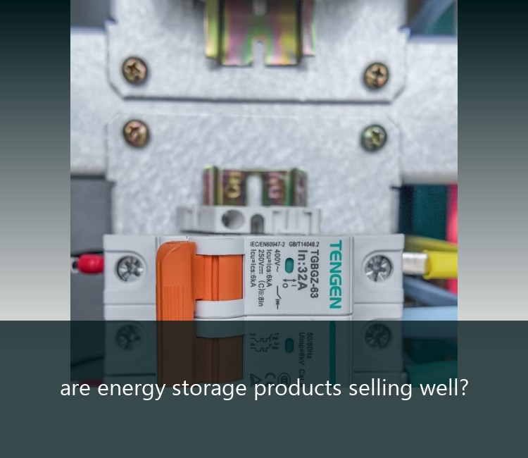are energy storage products selling well?