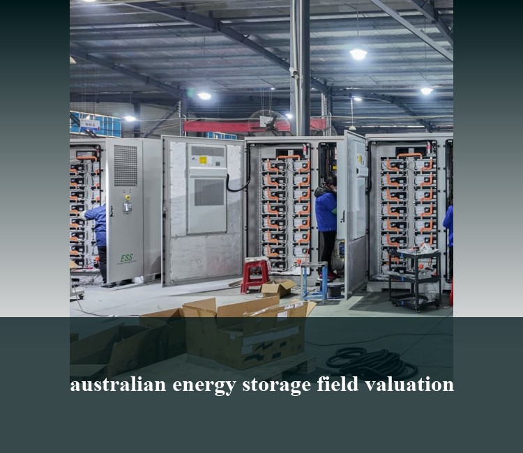australian energy storage field valuation