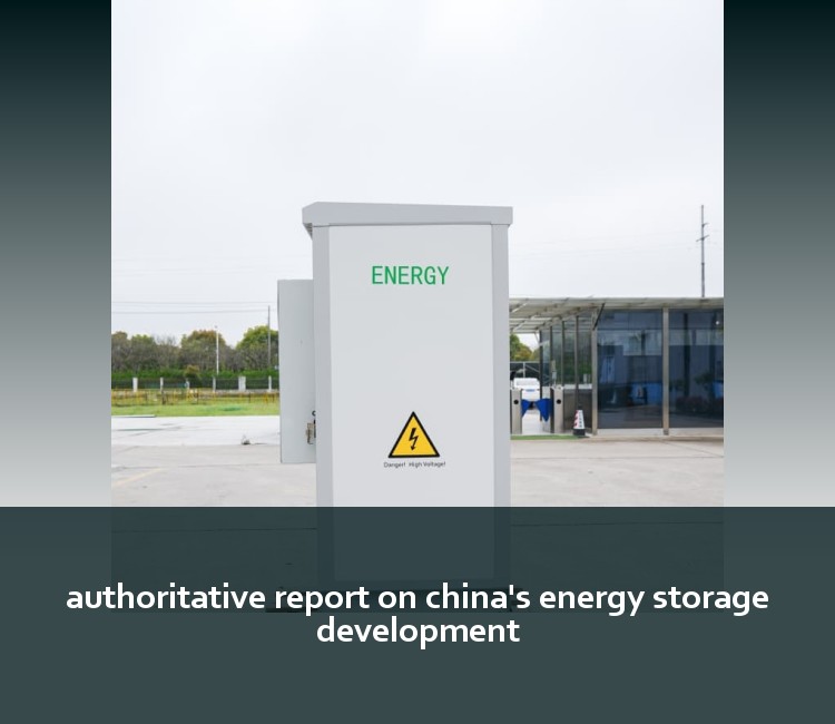 authoritative report on china's energy storage development