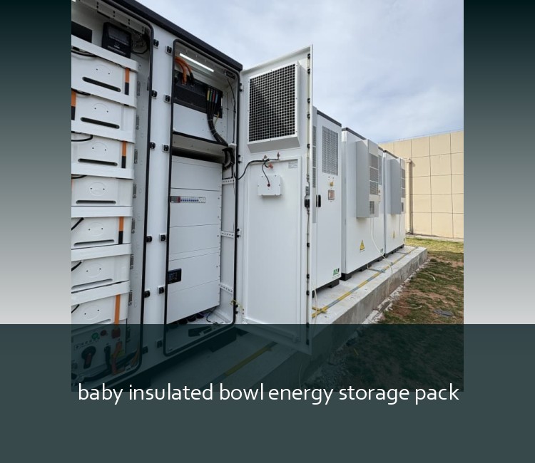 baby insulated bowl energy storage pack
