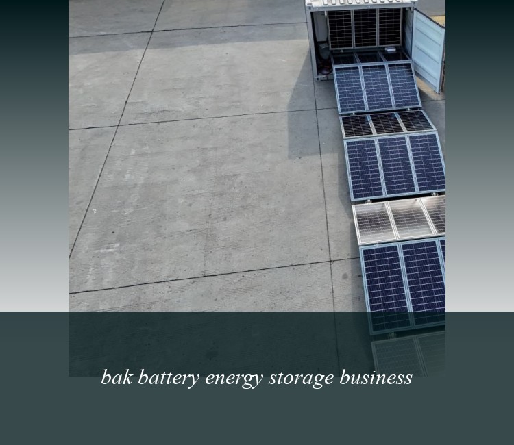 bak battery energy storage business