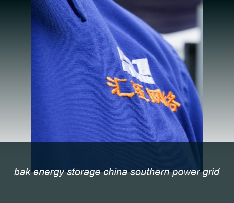 bak energy storage china southern power grid