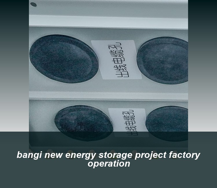 bangi new energy storage project factory operation