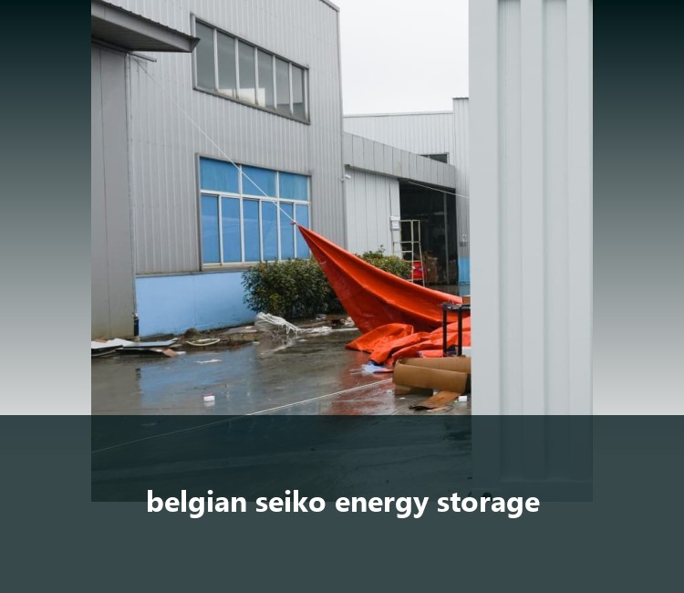 belgian seiko energy storage