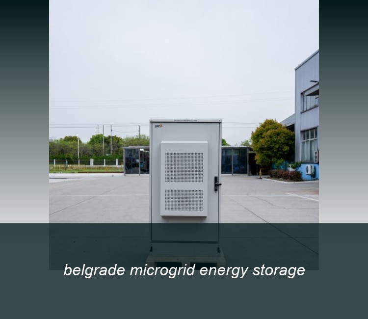 belgrade microgrid energy storage