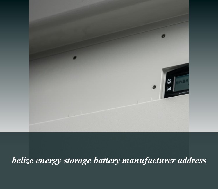 belize energy storage battery manufacturer address