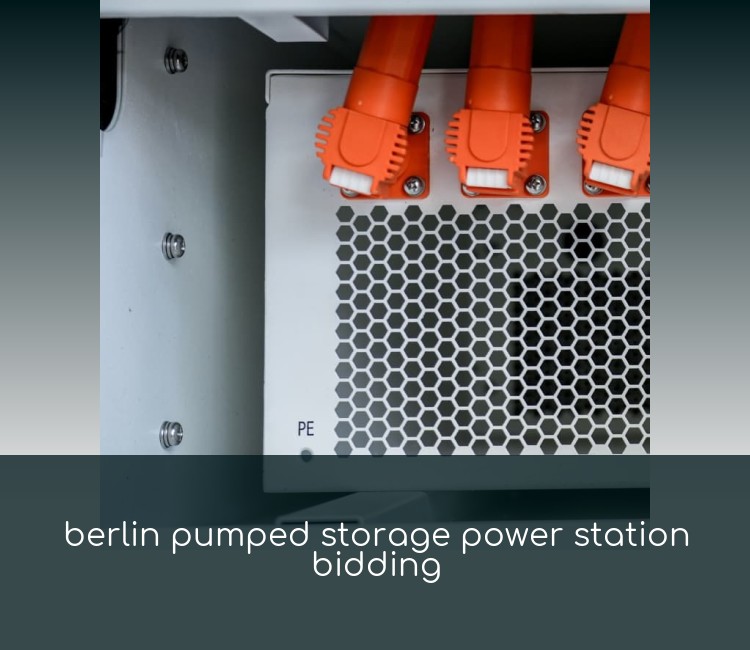 berlin pumped storage power station bidding