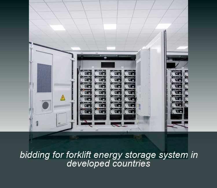 bidding for forklift energy storage system in developed countries