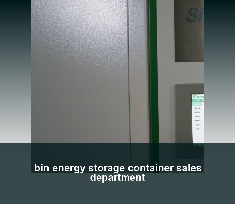 bin energy storage container sales department