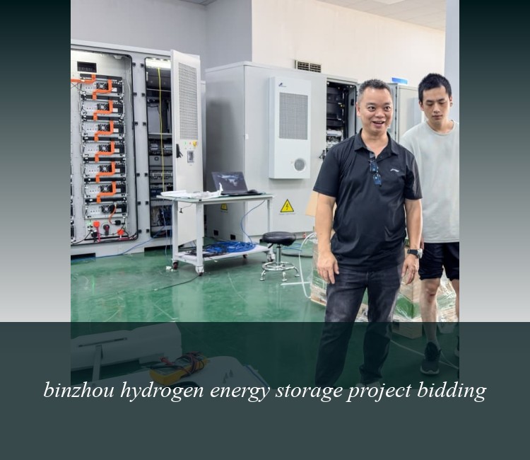 binzhou hydrogen energy storage project bidding