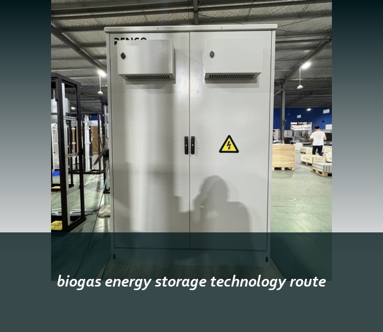 biogas energy storage technology route