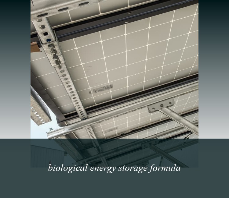 biological energy storage formula
