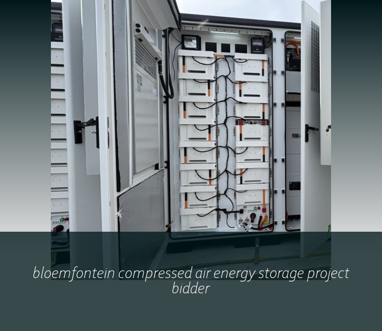 bloemfontein compressed air energy storage project bidder