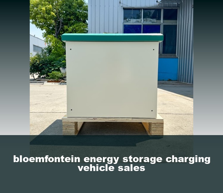 bloemfontein energy storage charging vehicle sales
