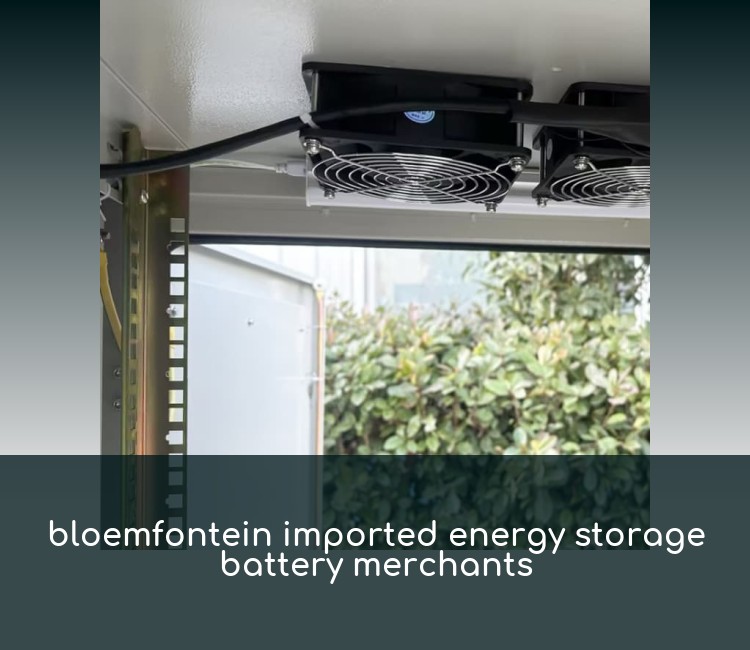 bloemfontein imported energy storage battery merchants