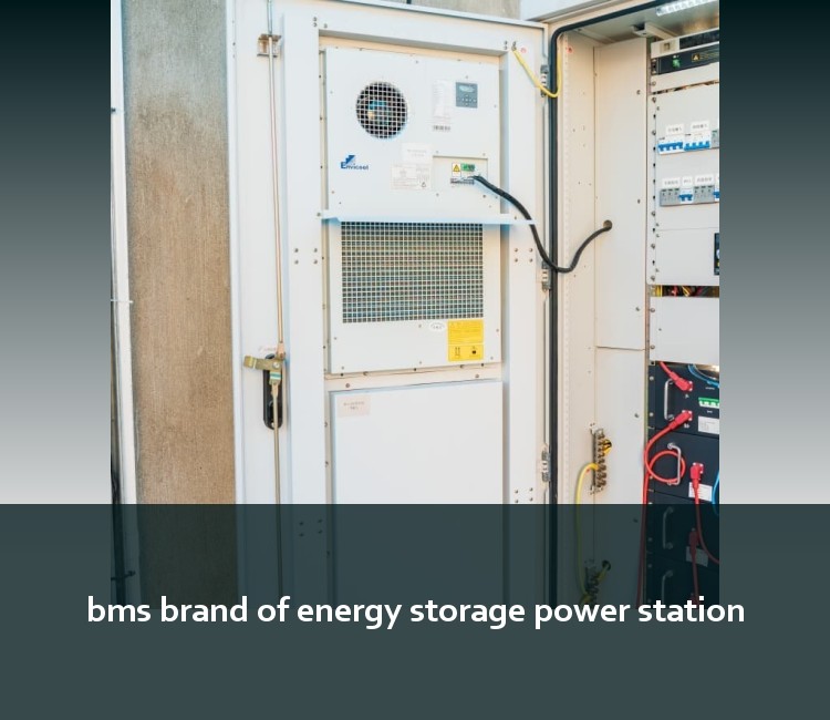 bms brand of energy storage power station
