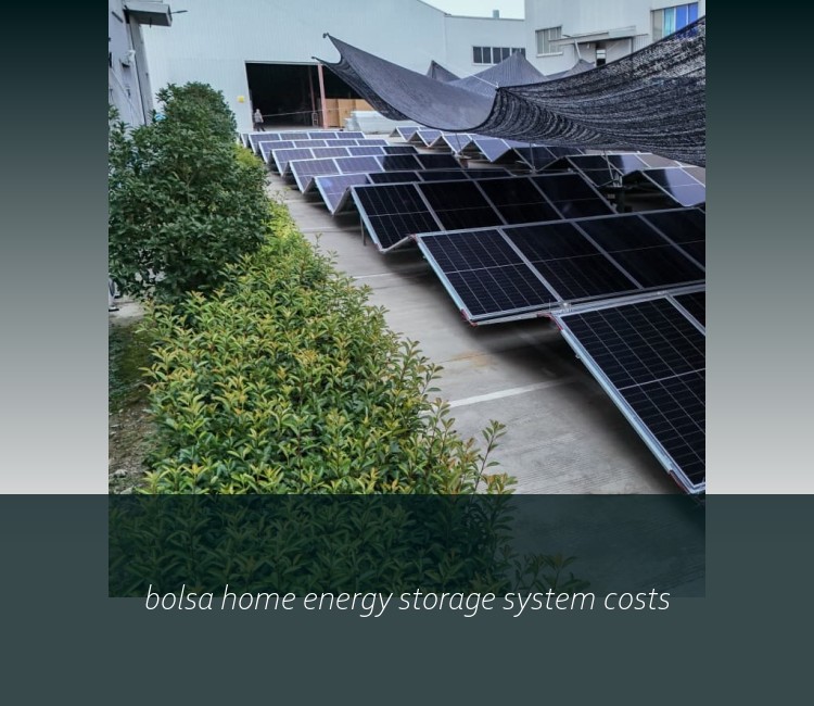 bolsa home energy storage system costs