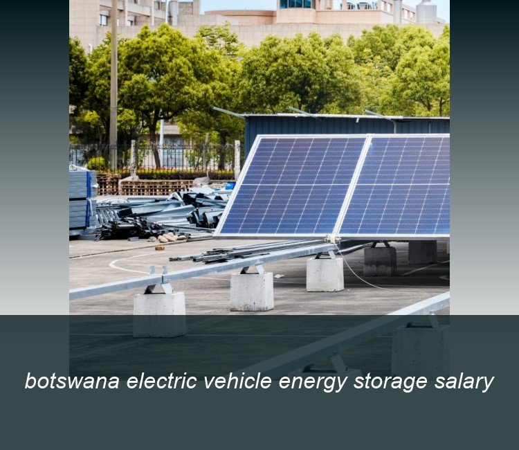 botswana electric vehicle energy storage salary