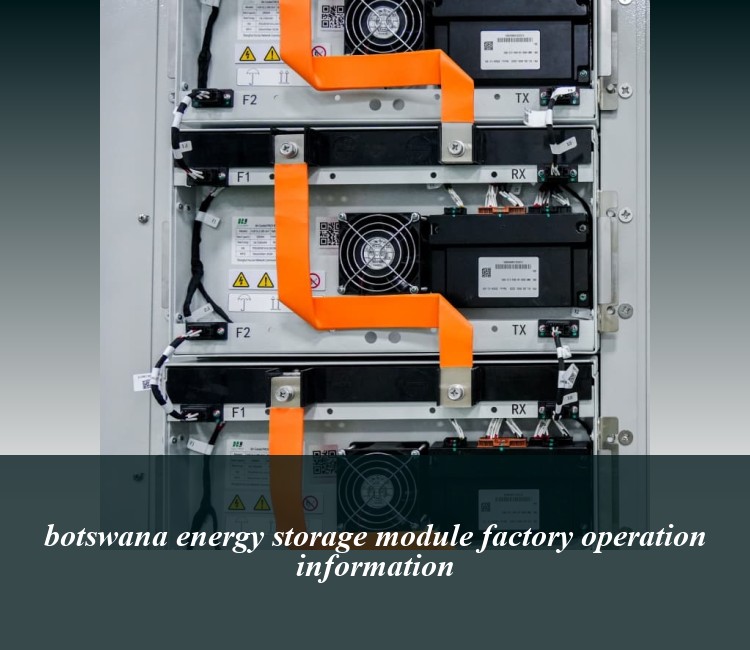 botswana energy storage module factory operation information