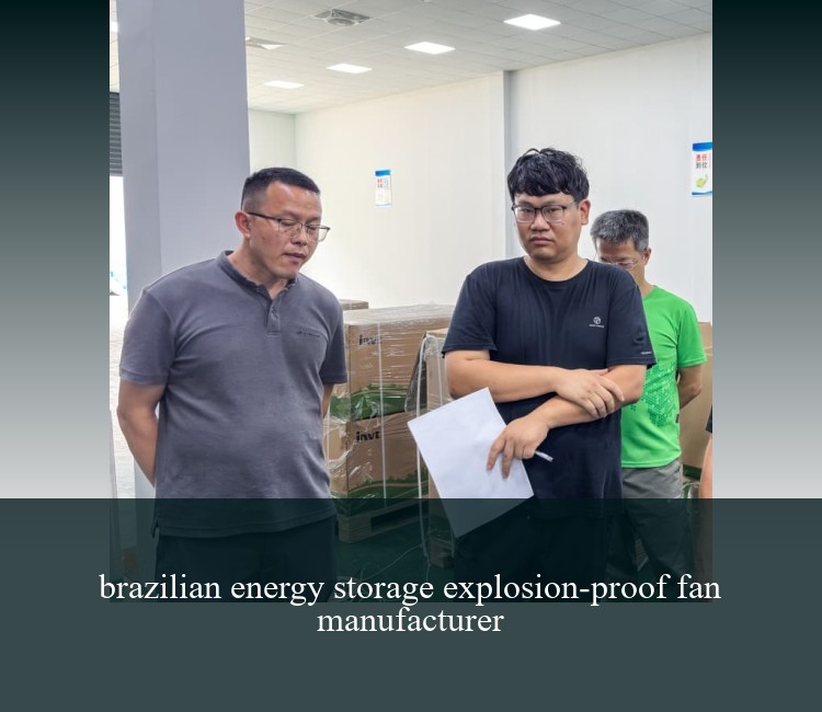 brazilian energy storage explosion-proof fan manufacturer