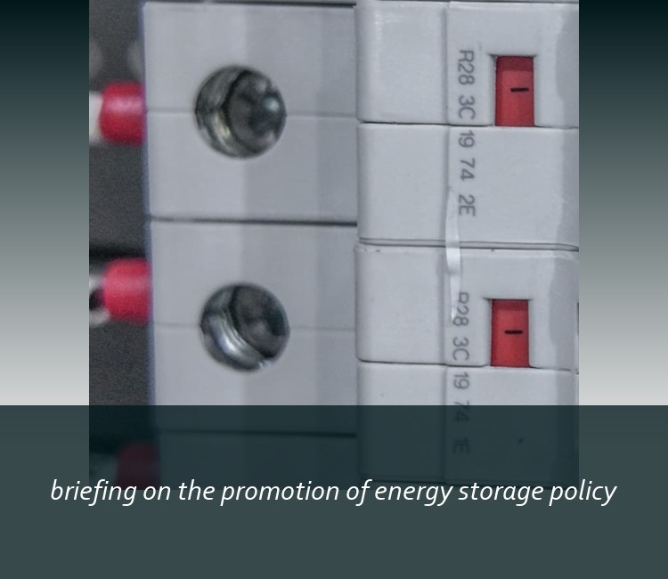 briefing on the promotion of energy storage policy