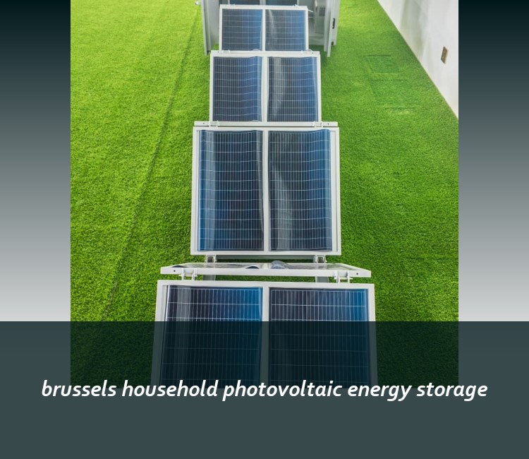 brussels household photovoltaic energy storage
