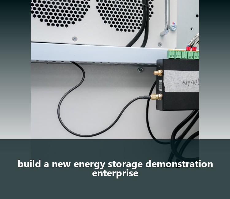 build a new energy storage demonstration enterprise