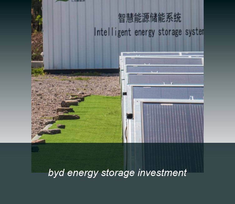 byd energy storage investment