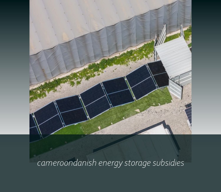 cameroondanish energy storage subsidies