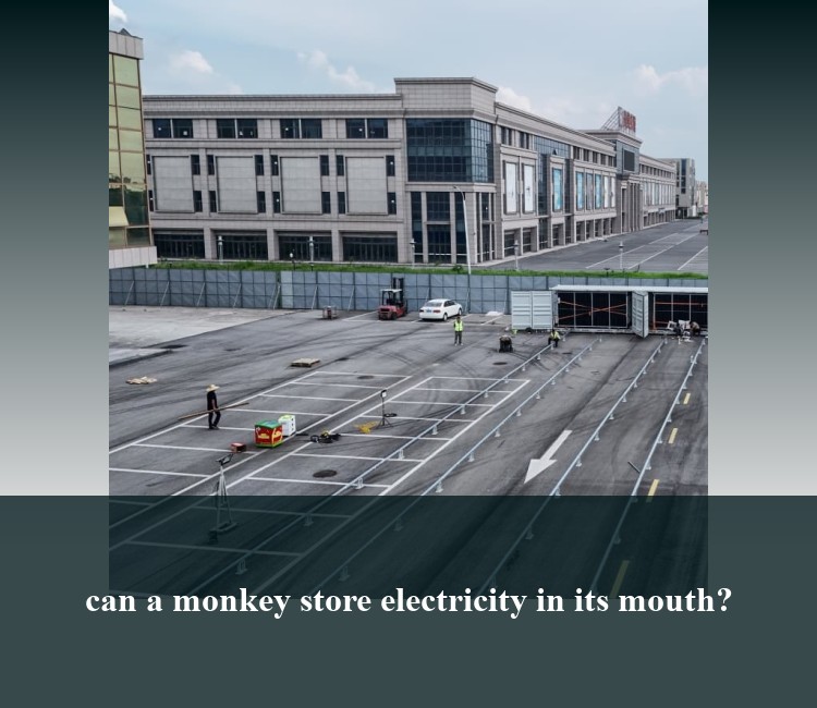 can a monkey store electricity in its mouth?