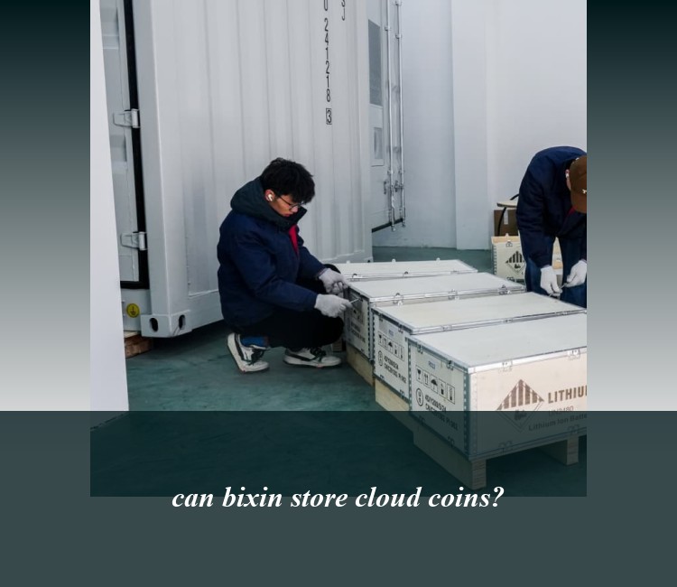 can bixin store cloud coins?
