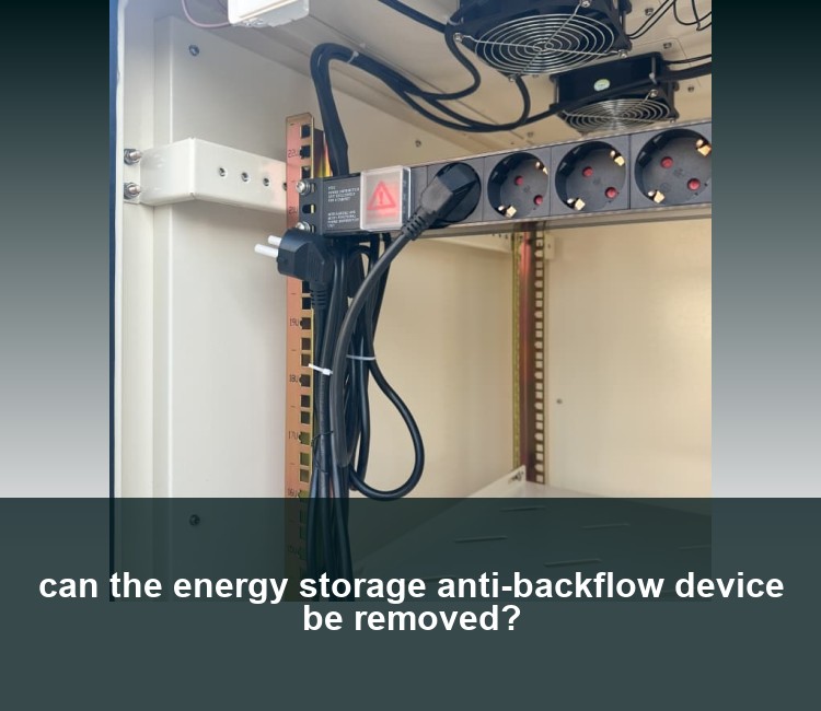 can the energy storage anti-backflow device be removed?