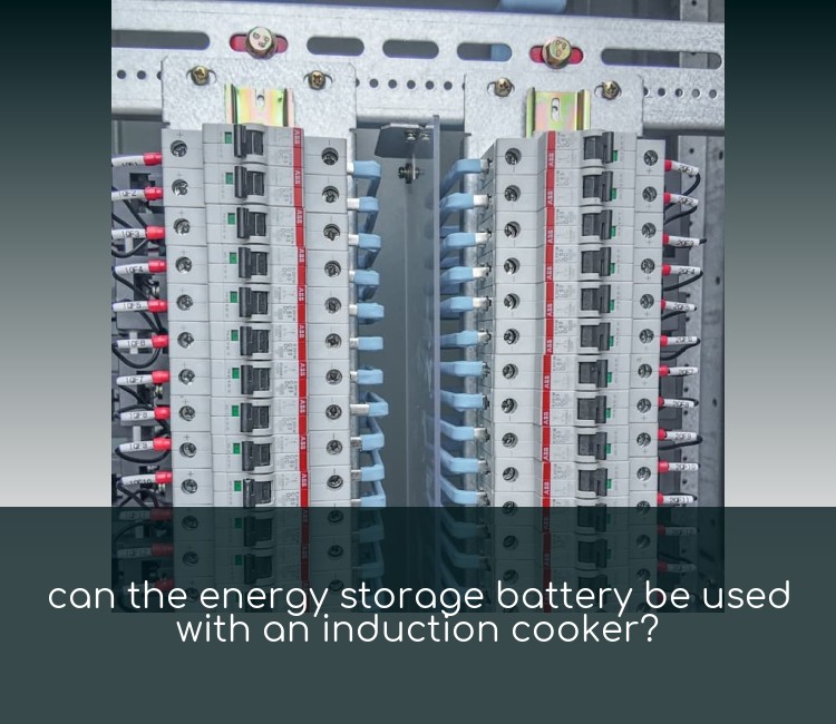 can the energy storage battery be used with an induction cooker?