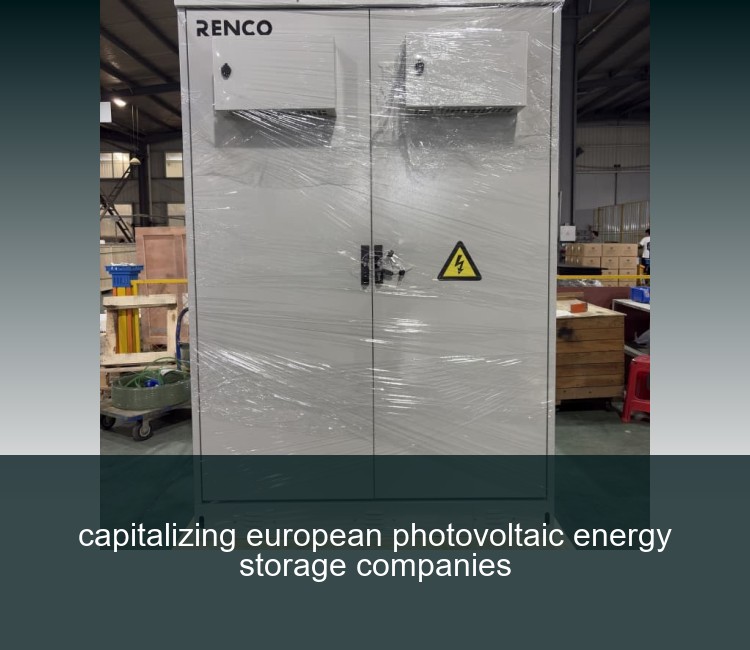 capitalizing european photovoltaic energy storage companies
