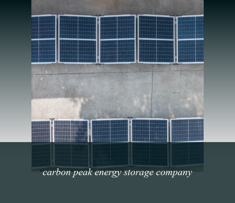 carbon peak energy storage company