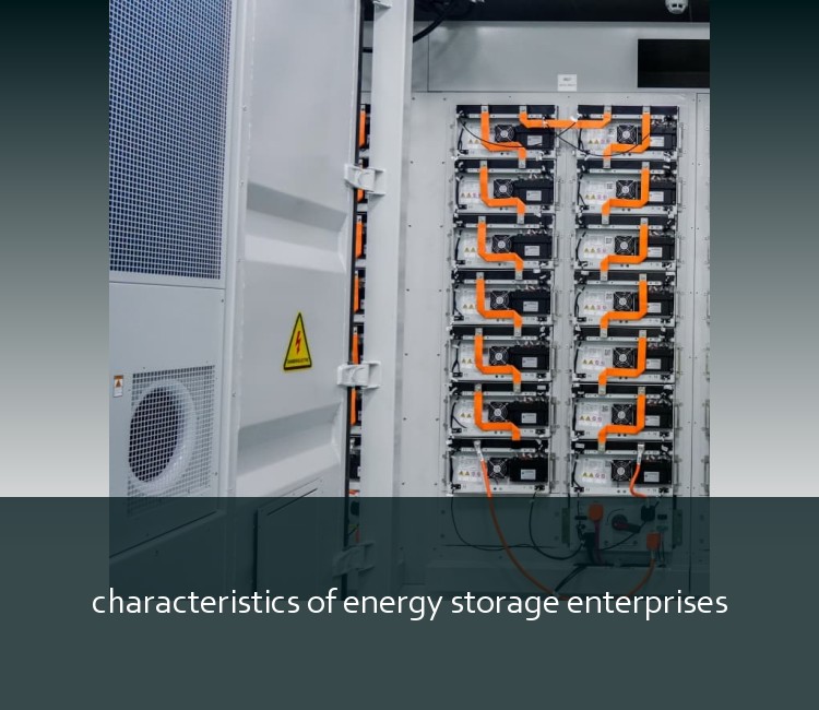 characteristics of energy storage enterprises