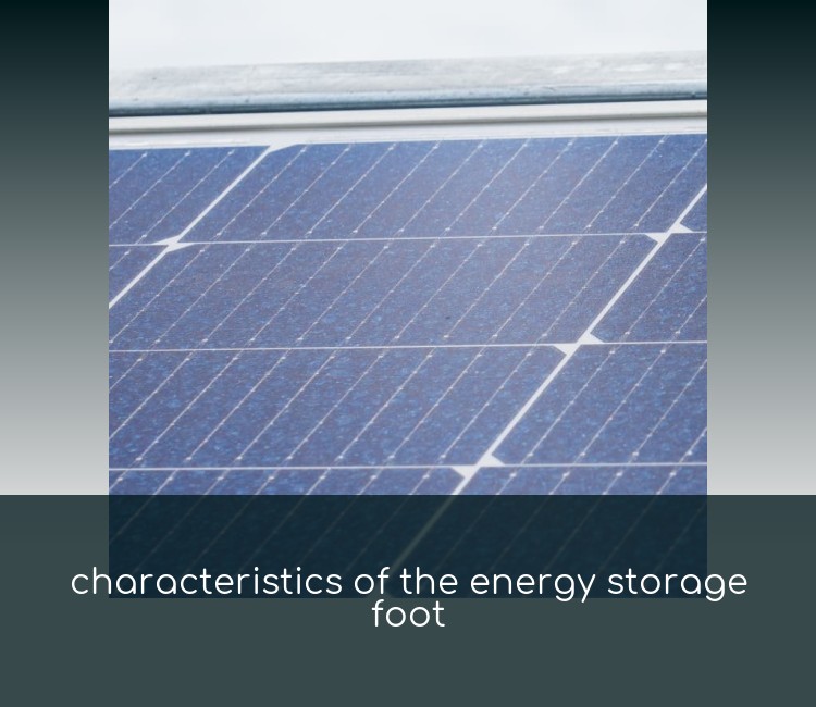 characteristics of the energy storage foot